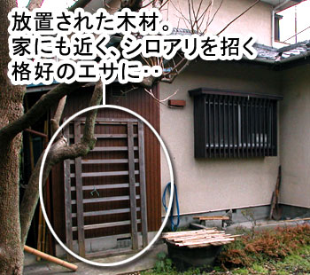 シロアリ消毒・シロアリ駆除はグリーン・パトロール 神奈川県、茅ヶ崎市、藤沢市、鎌倉市 シロアリを招く格好のエサ