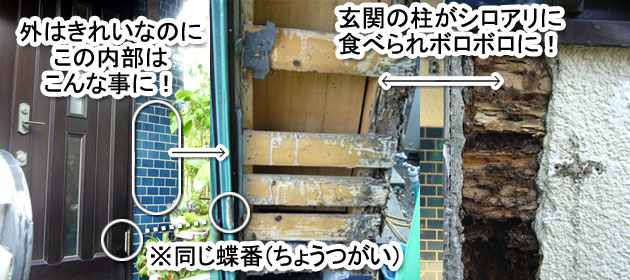 シロアリ消毒・シロアリ駆除はグリーン・パトロール 神奈川県、茅ヶ崎市、藤沢市、鎌倉市 シロアリを招く格好のエサ