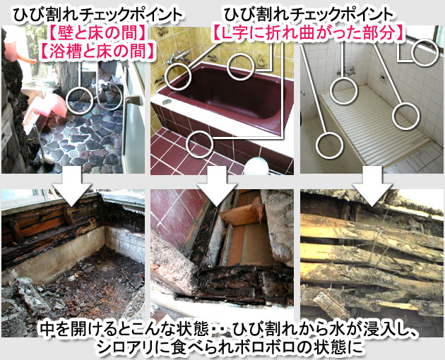 シロアリ消毒・シロアリ駆除はグリーン・パトロール 神奈川県、茅ヶ崎市、藤沢市、鎌倉市 シロアリを招く格好のエサ