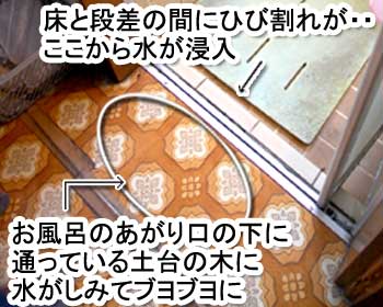 シロアリ消毒・シロアリ駆除はグリーン・パトロール 神奈川県、茅ヶ崎市、藤沢市、鎌倉市 シロアリを招く格好のエサ