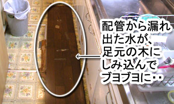 シロアリ消毒・シロアリ駆除はグリーン・パトロール 神奈川県、茅ヶ崎市、藤沢市、鎌倉市 シロアリの蟻道が