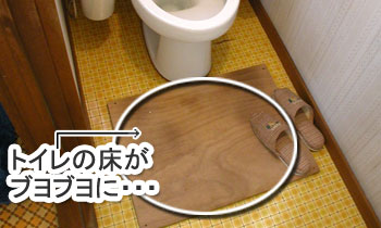 シロアリ消毒・シロアリ駆除はグリーン・パトロール 神奈川県、茅ヶ崎市、藤沢市、鎌倉市 竹や木もシロアリがつきやすい