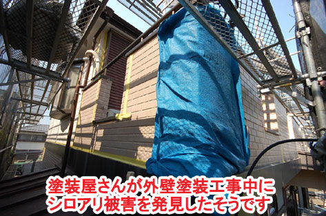 神奈川県茅ヶ崎市シロアリ対策施工事例