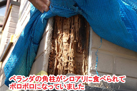 神奈川県茅ヶ崎市シロアリ対策施工事例