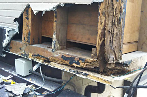 神奈川県茅ヶ崎市シロアリ対策施工事例