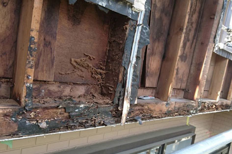 神奈川県茅ヶ崎市シロアリ対策施工事例