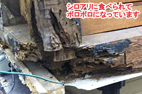 神奈川県茅ヶ崎市シロアリ対策施工事例