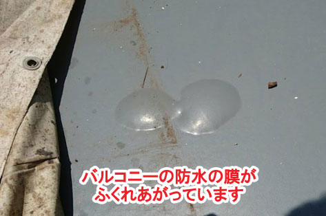 神奈川県茅ヶ崎市シロアリ対策施工事例