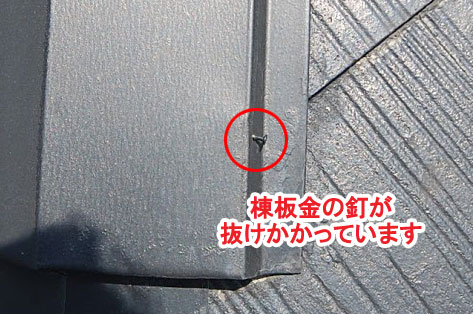 神奈川県茅ヶ崎市シロアリ対策施工事例