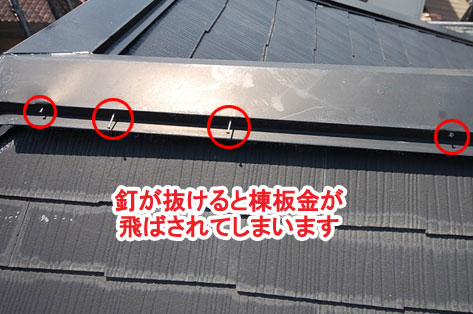 神奈川県茅ヶ崎市シロアリ対策施工事例