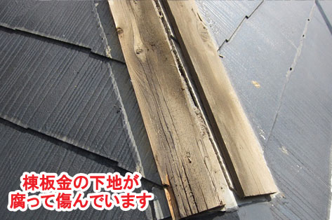 神奈川県茅ヶ崎市シロアリ対策施工事例