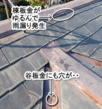 シロアリ消毒・シロアリ駆除はグリーン・パトロール 神奈川県、茅ヶ崎市、藤沢市、鎌倉市 シロアリを招く格好のエサ
