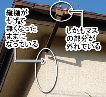 シロアリ消毒・シロアリ駆除はグリーン・パトロール 神奈川県、茅ヶ崎市、藤沢市、鎌倉市 シロアリを招く格好のエサ