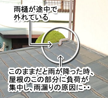 シロアリ消毒・シロアリ駆除はグリーン・パトロール 神奈川県、茅ヶ崎市、藤沢市、鎌倉市 竹や木もシロアリがつきやすい