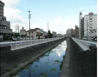 シロアリ消毒・シロアリ駆除はグリーン・パトロール　神奈川県、茅ヶ崎市、藤沢市、鎌倉市　シロアリを招く格好のエサ