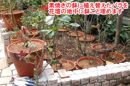 神奈川県茅ヶ崎市 N様邸 ドッグラン、雑草対策外構工事施工例 お庭のリフォームはグリーンパトロール 神奈川県・茅ヶ崎市・寒川町・藤沢市・鎌倉市・平塚市