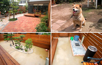 シロアリ 駆除,シロアリ 対策はグリーンパトロール(神奈川県,茅ヶ崎市,寒川町,藤沢市,鎌倉市,平塚市)