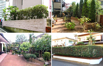 シロアリ 駆除,シロアリ 対策はグリーンパトロール(神奈川県,茅ヶ崎市,寒川町,藤沢市,鎌倉市,平塚市)