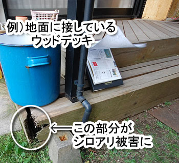 シロアリ消毒・シロアリ駆除はグリーン・パトロール 神奈川県、茅ヶ崎市、藤沢市、鎌倉市 シロアリを招く格好のエサ