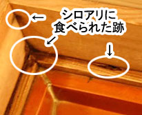 神奈川県茅ヶ崎市 松籟庵(しょうらいあん)