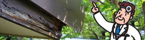 シロアリ診断チェック