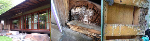 シロアリ対策施工事例