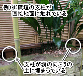 シロアリ消毒・シロアリ駆除はグリーン・パトロール 神奈川県、茅ヶ崎市、藤沢市、鎌倉市 シロアリの蟻道が